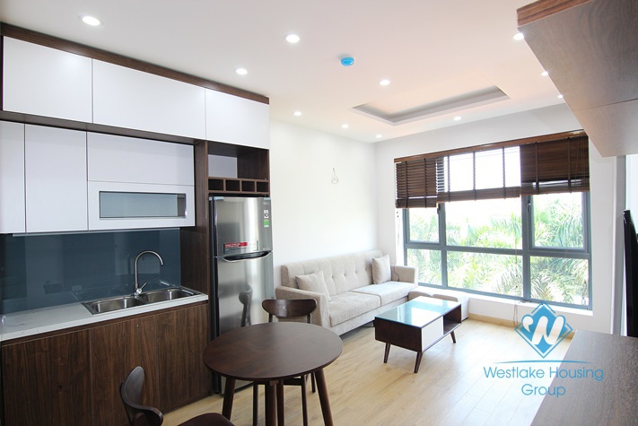 Bright and Brandnew One Bedroom Apartment For Rent In Tay Ho Area.